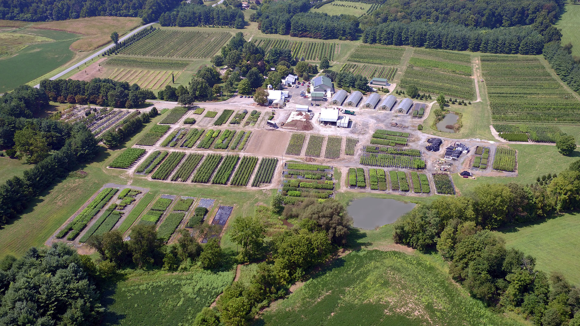 Wholesale Tree Nursery About Us Clear Ridge Nursery, Inc.