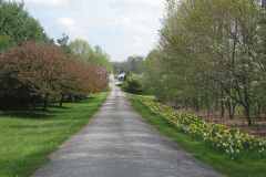 entrance-driveway