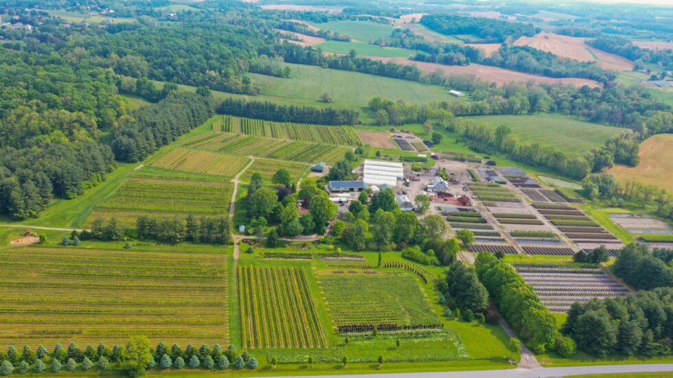 Wholesale Tree Nurseries Wholesale Nursery