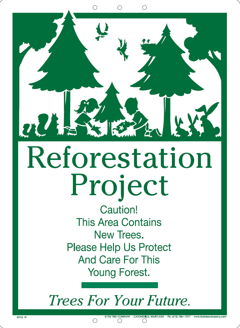 Reforestation Project