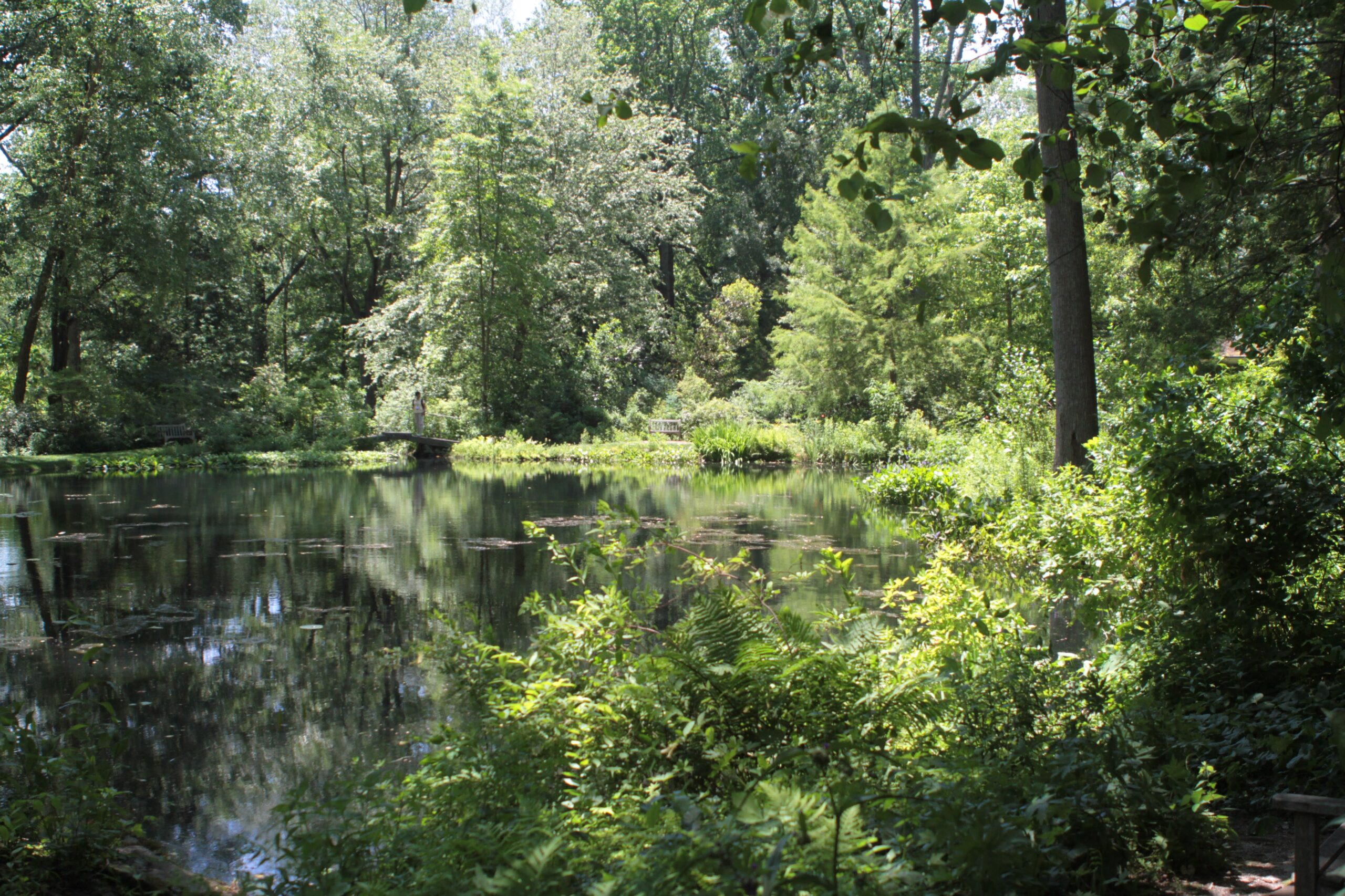 Ponds at Mt Cuba Center 2