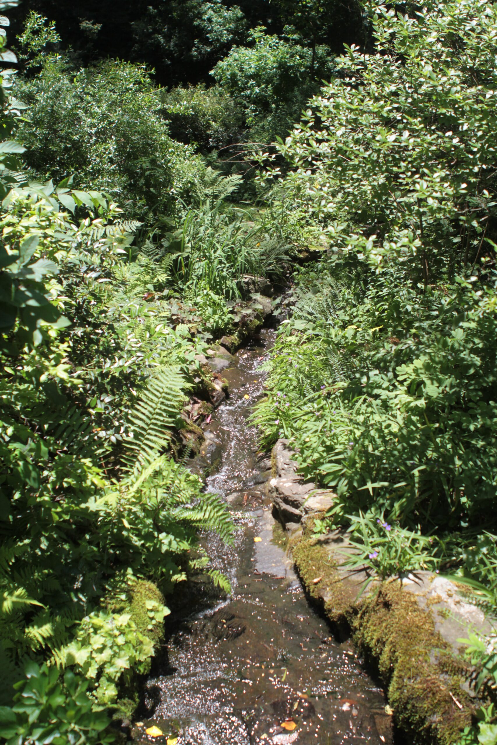 View at the Ponds